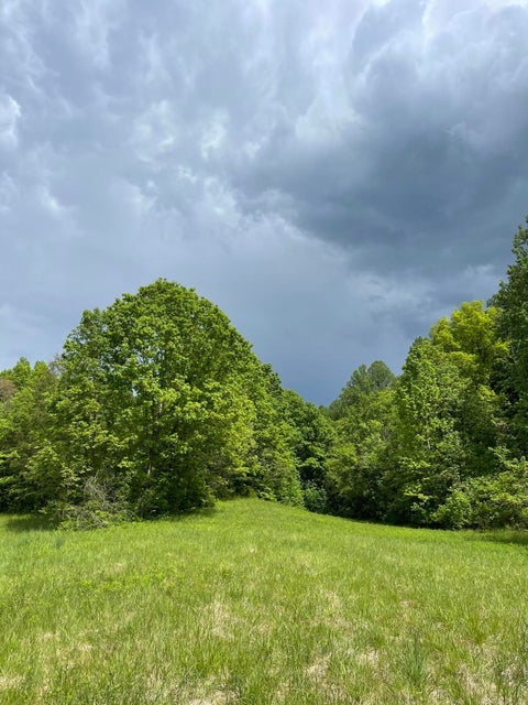 Photo #6: 00 Sinking Creek Road
