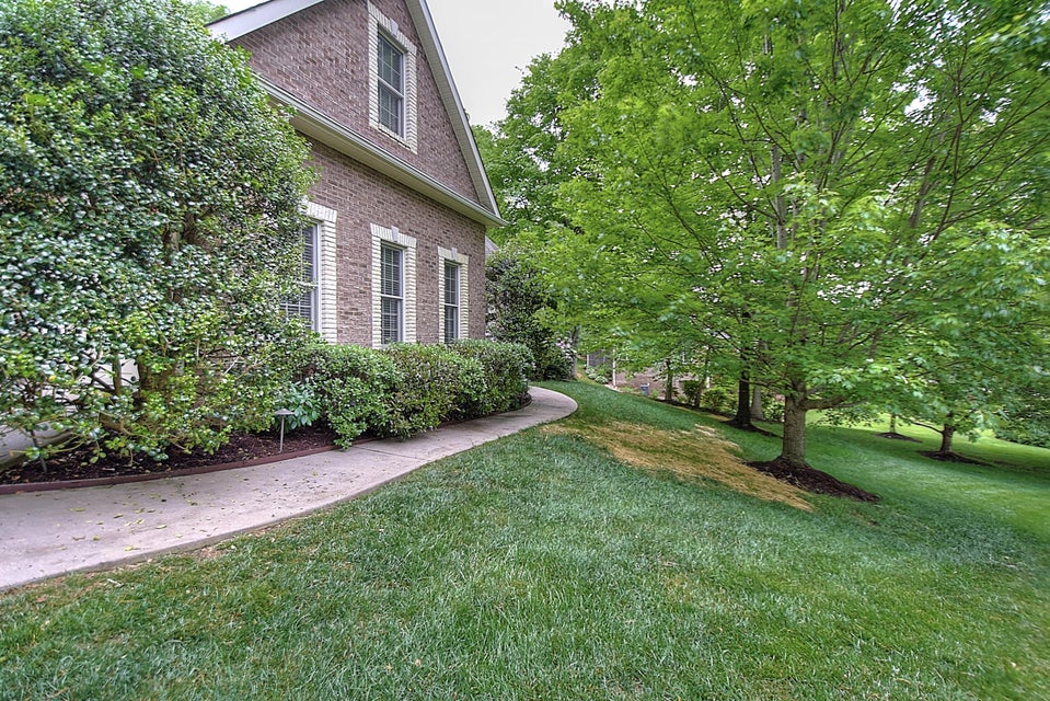 Photo #3: 222 Strawberry Field Drive