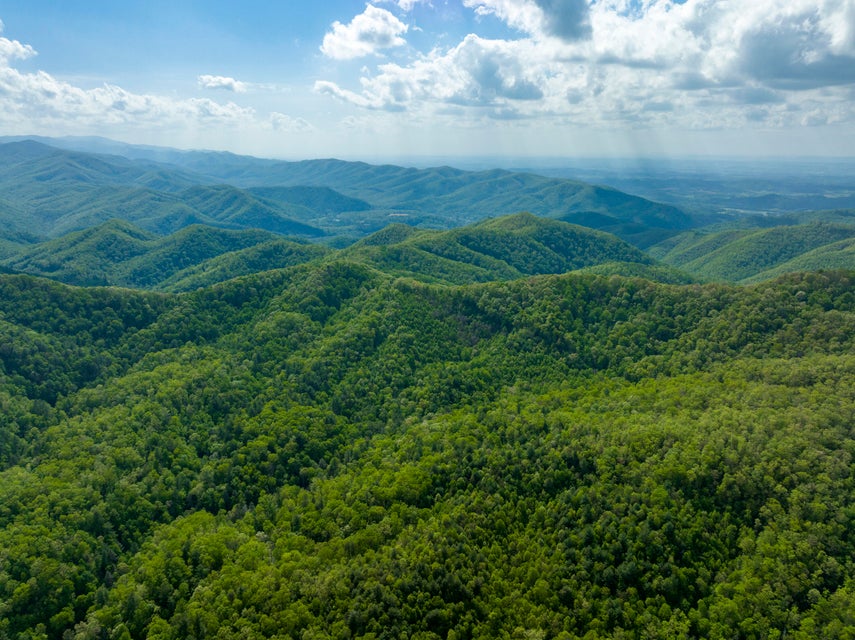 Photo #10: Tbd Harris Hollow Road