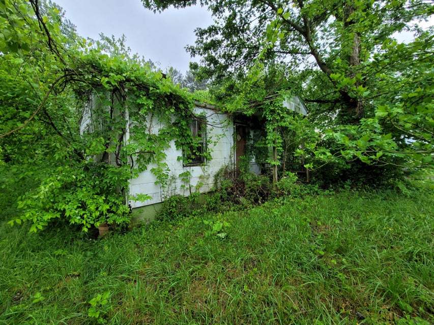 Photo #2: 206 Baxter Street