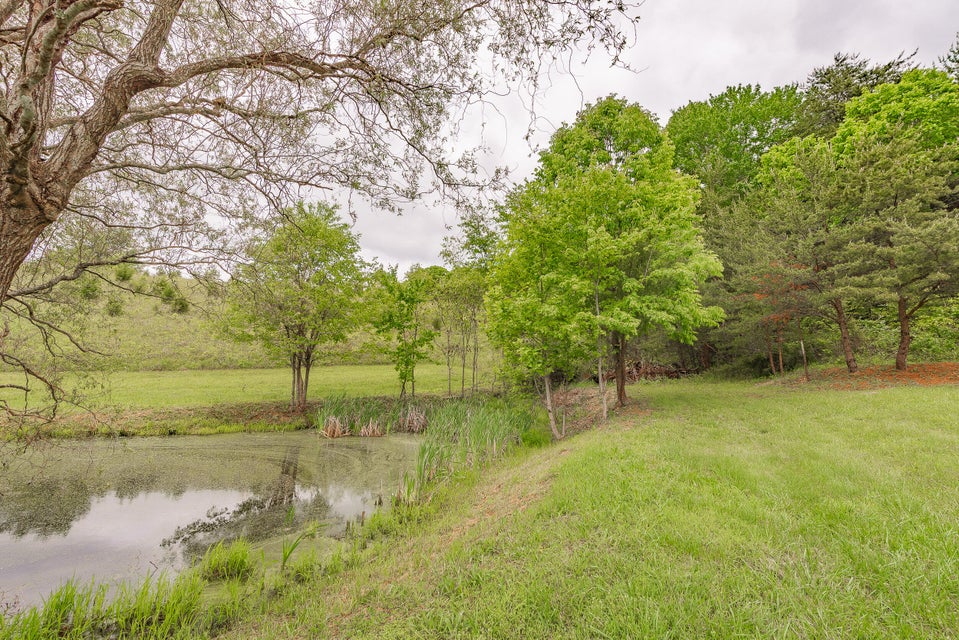 Photo #6: 251 Anderson Road