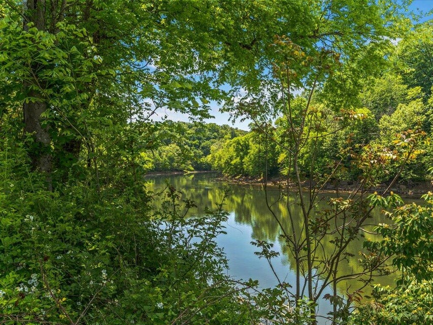 Photo #22: 1921 River Mist Circle