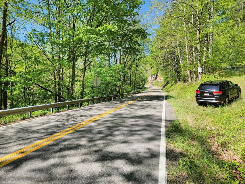 Photo #5: Tbd Roan Creek Road