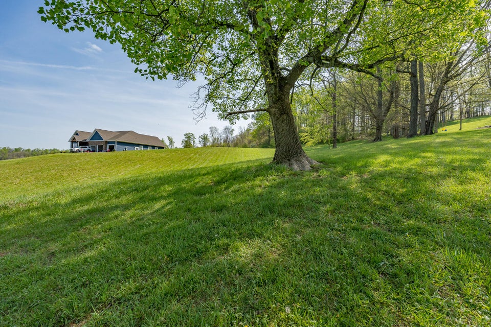 Photo #29: 15 Mccormick Court