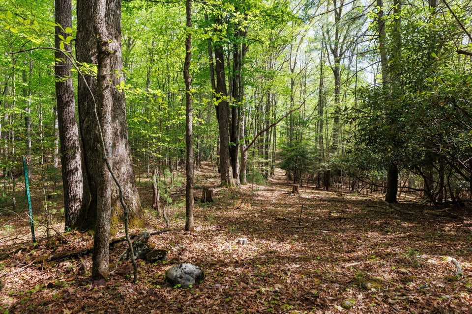 Photo #34: 197 Laurel Road