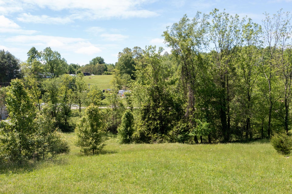 Photo #13: 1579 Main Street
