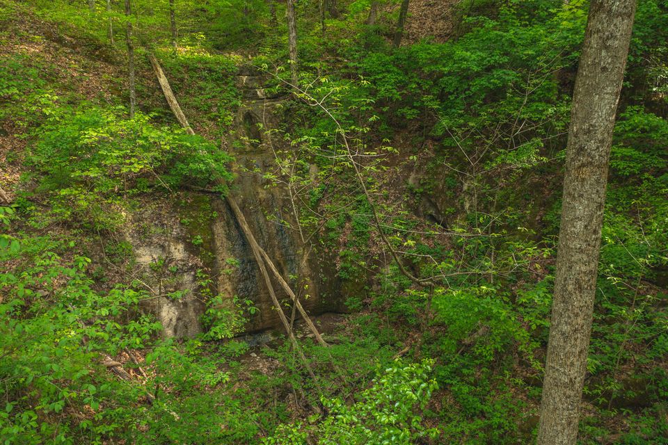 Photo #39: 190 Chartier Lane