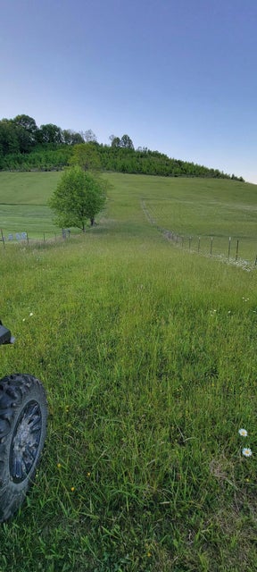 Photo #5: Tbd E. Carters Valley Rd