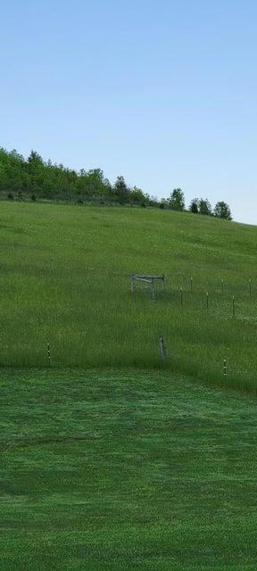 Photo #3: Tbd E. Carters Valley Rd