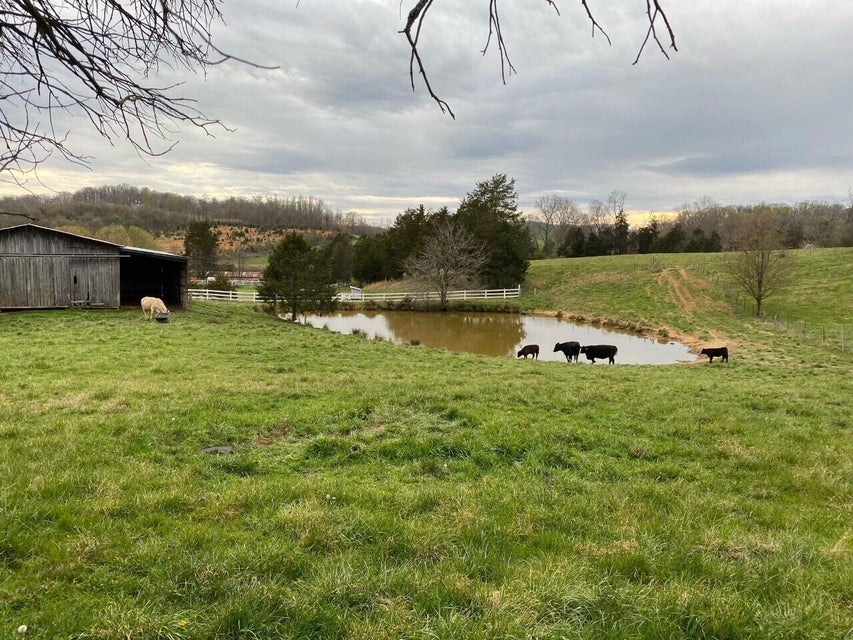 Photo #5: 2700 Indian Ridge Road