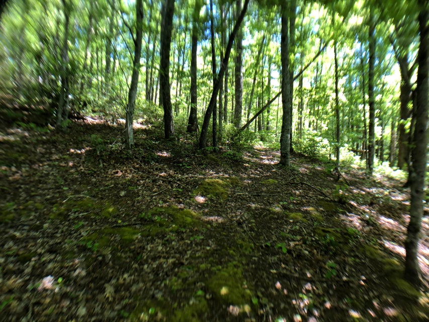 Photo #2: 5252 Sink Valley Road