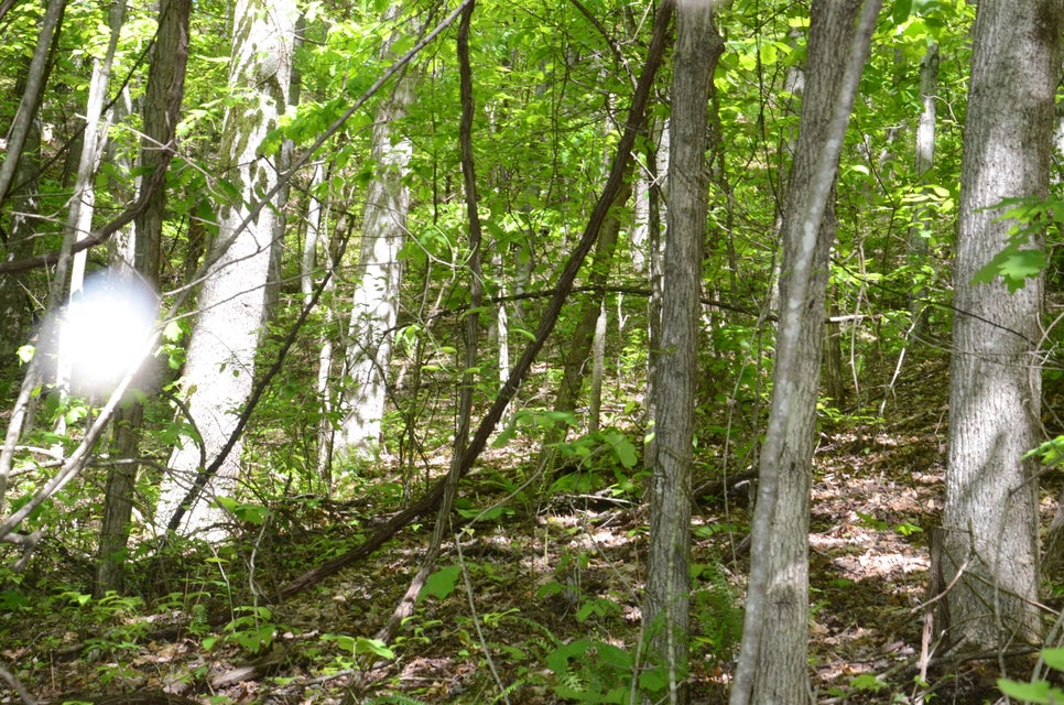 Photo #16: Tbd Hayters Gap Rd