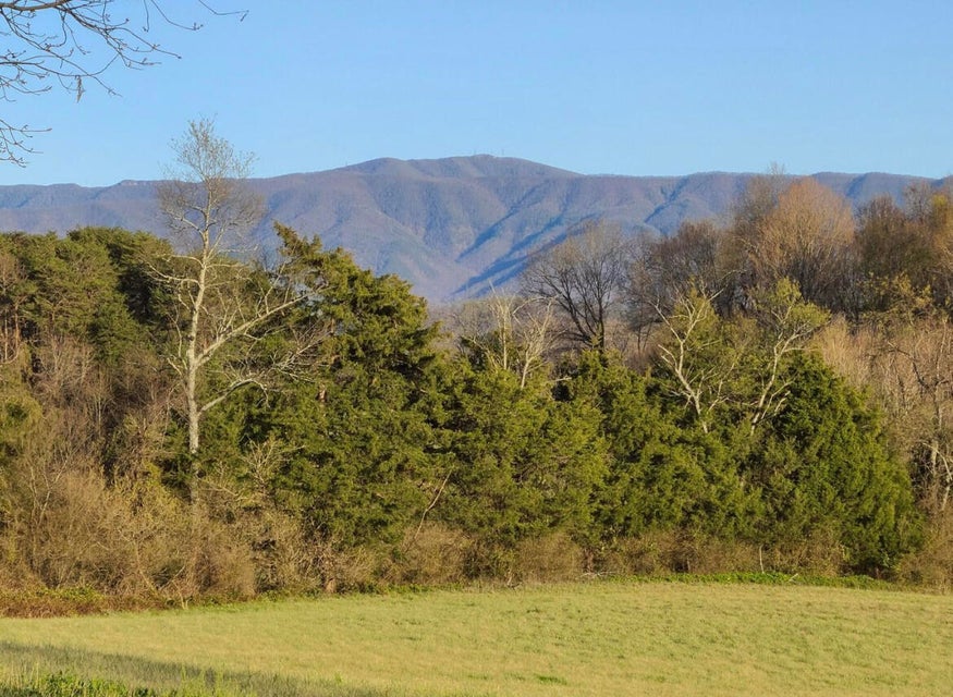 Photo #5: 5245 Old Asheville Highway