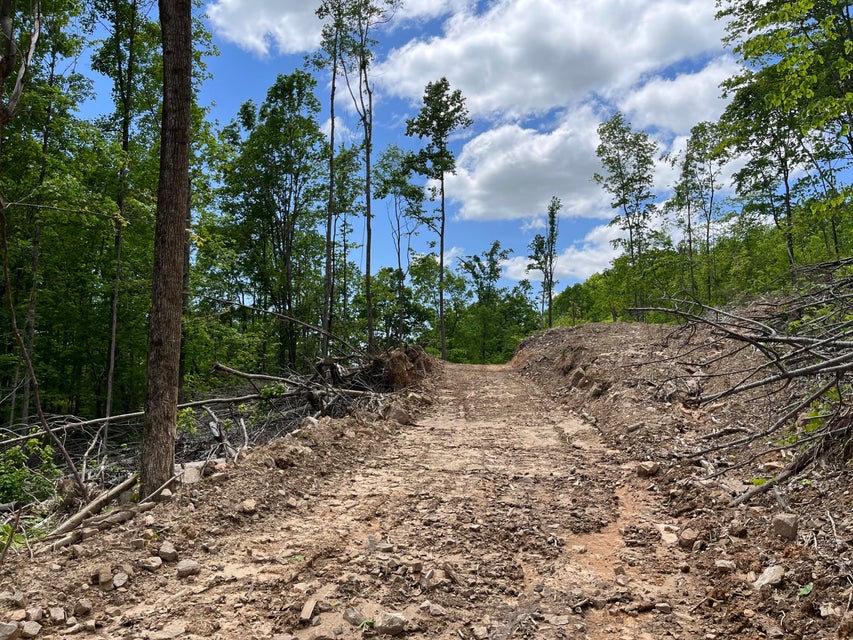 Photo #18: Tbd Bear Hollow Road
