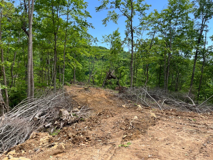 Photo #19: Tbd Bear Hollow Road