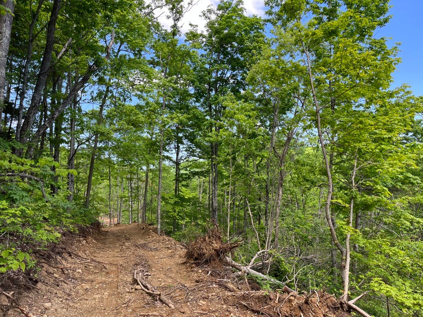 Photo #26: Tbd Bear Hollow Road