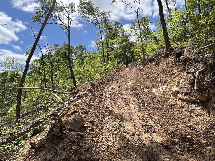 Photo #42: Tbd Bear Hollow Road