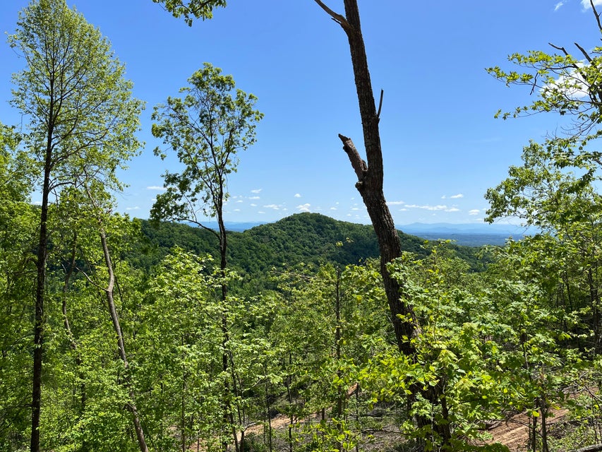 Photo #3: Tbd Bear Hollow Road