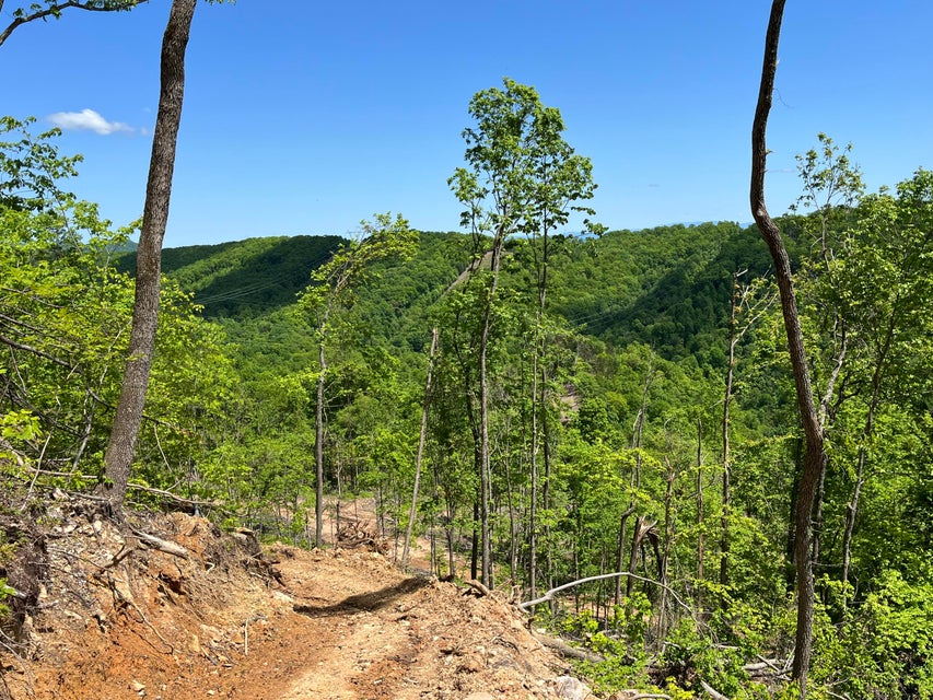 Photo #5: Tbd Bear Hollow Road