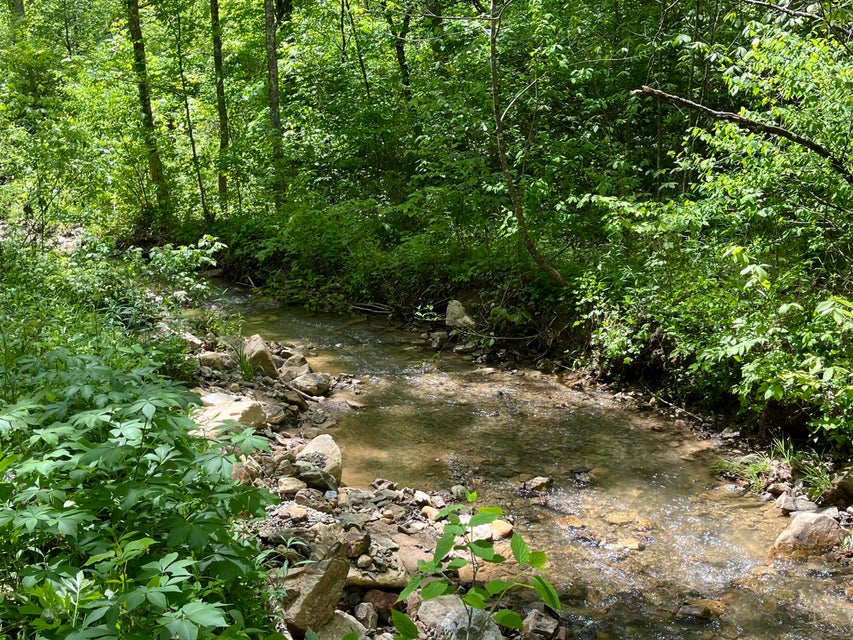 Photo #11: Tbd Bear Hollow Road
