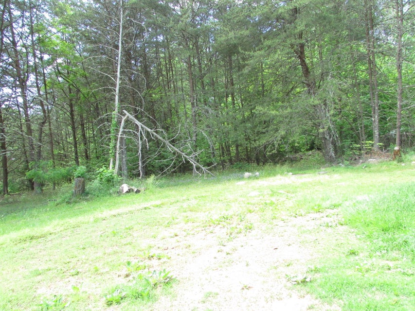 Photo #8: 159 Fitzsimmons Hill Road