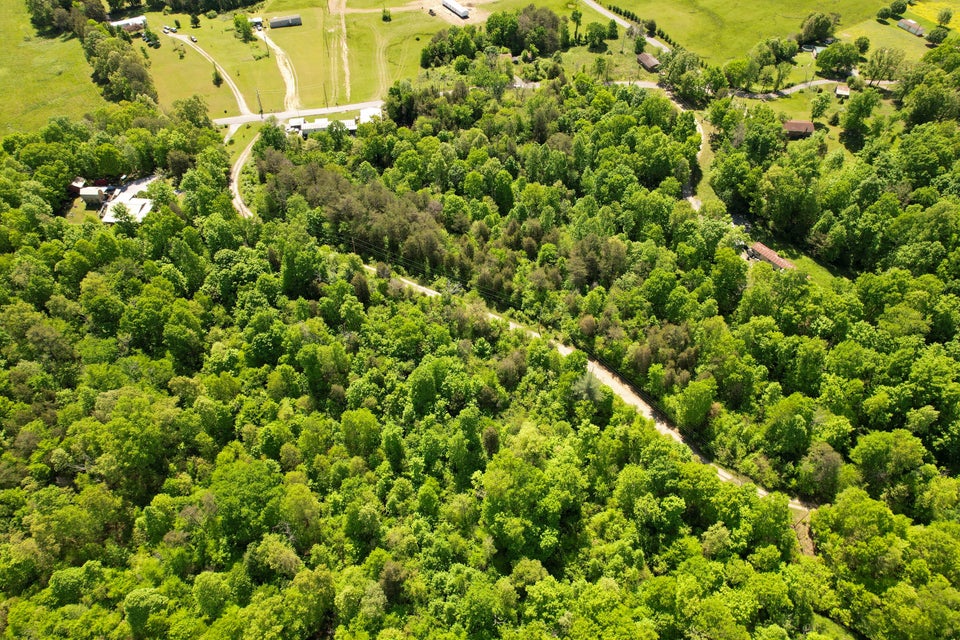 Photo #10: 9.69acres Millers Chapel Road