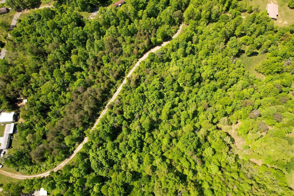 Photo #12: 9.69acres Millers Chapel Road
