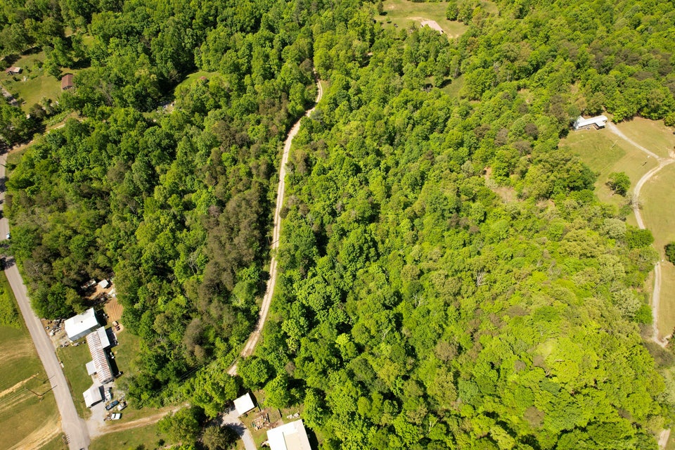 Photo #13: 9.69acres Millers Chapel Road