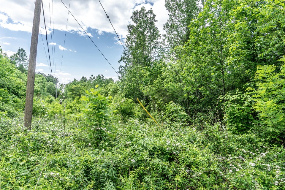 Photo #6: 895 Water Fork Road