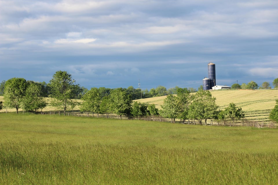 Photo #9: 30232 Lee Highway
