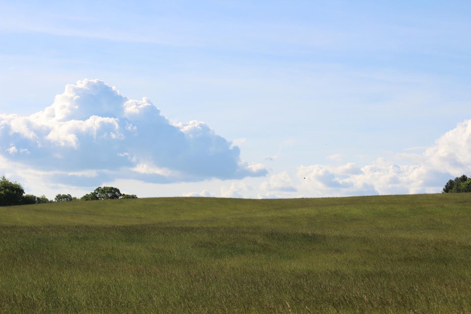 Photo #3: 30232 Lee Highway