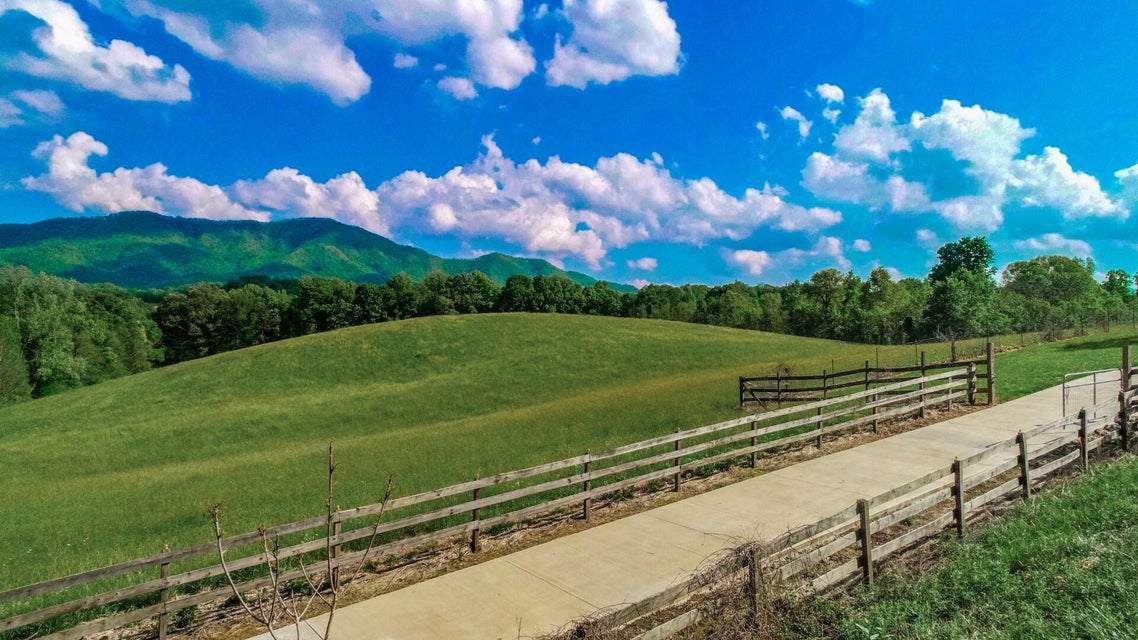 Photo #29: 2941 Happy Hollow Road