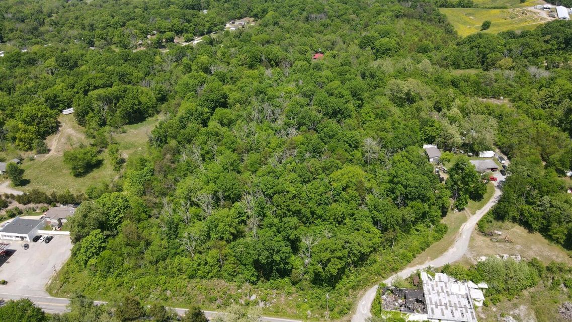 Photo #3: Tbd Blue Springs Parkway