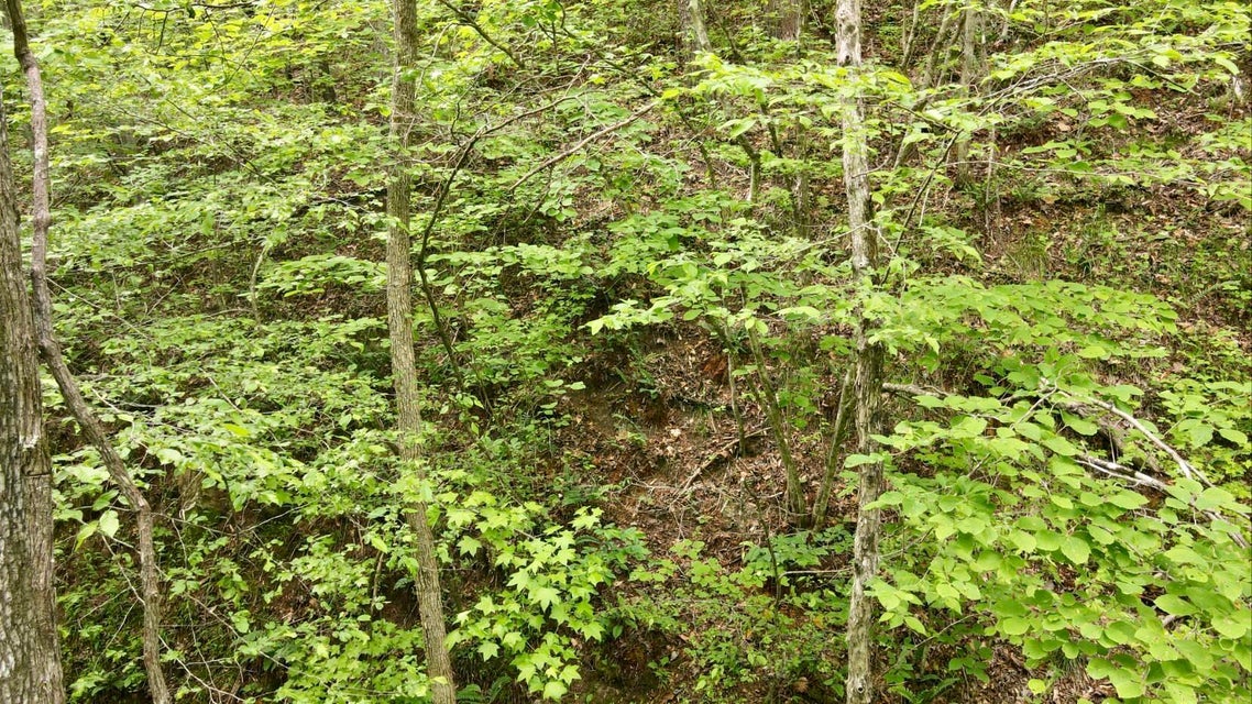 Photo #18: Tbd Speedwell Church Road