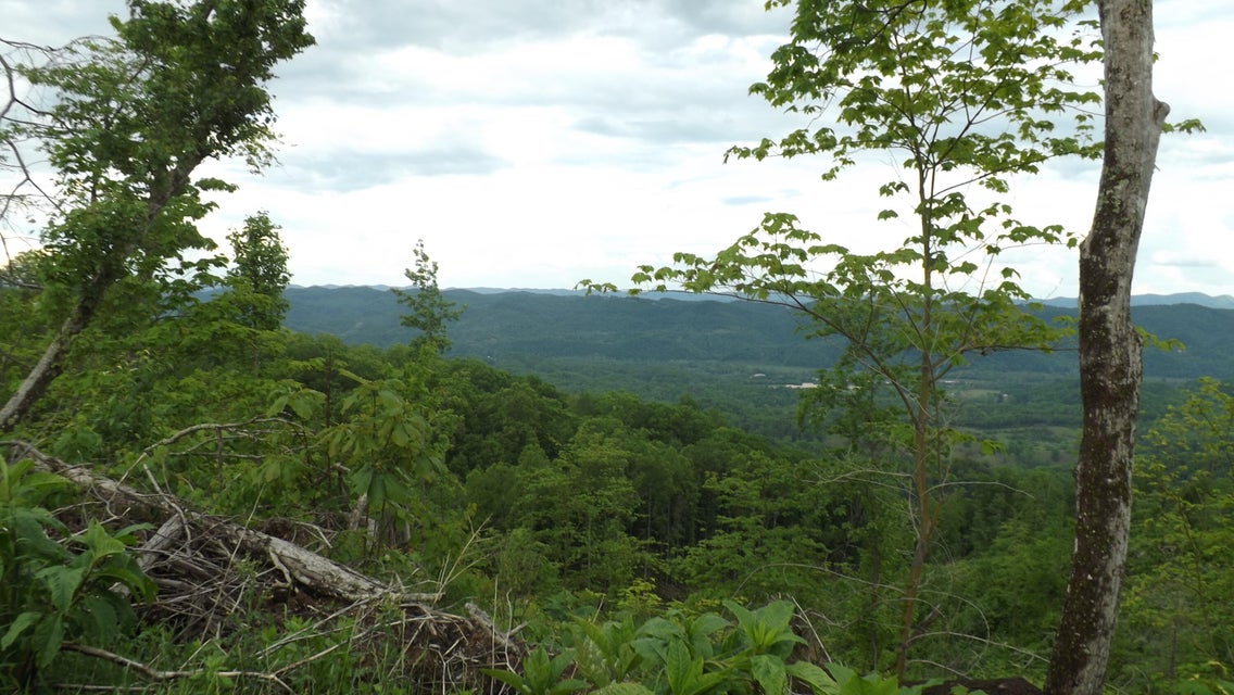 Photo #4: 0 Osborne Ridge Road 