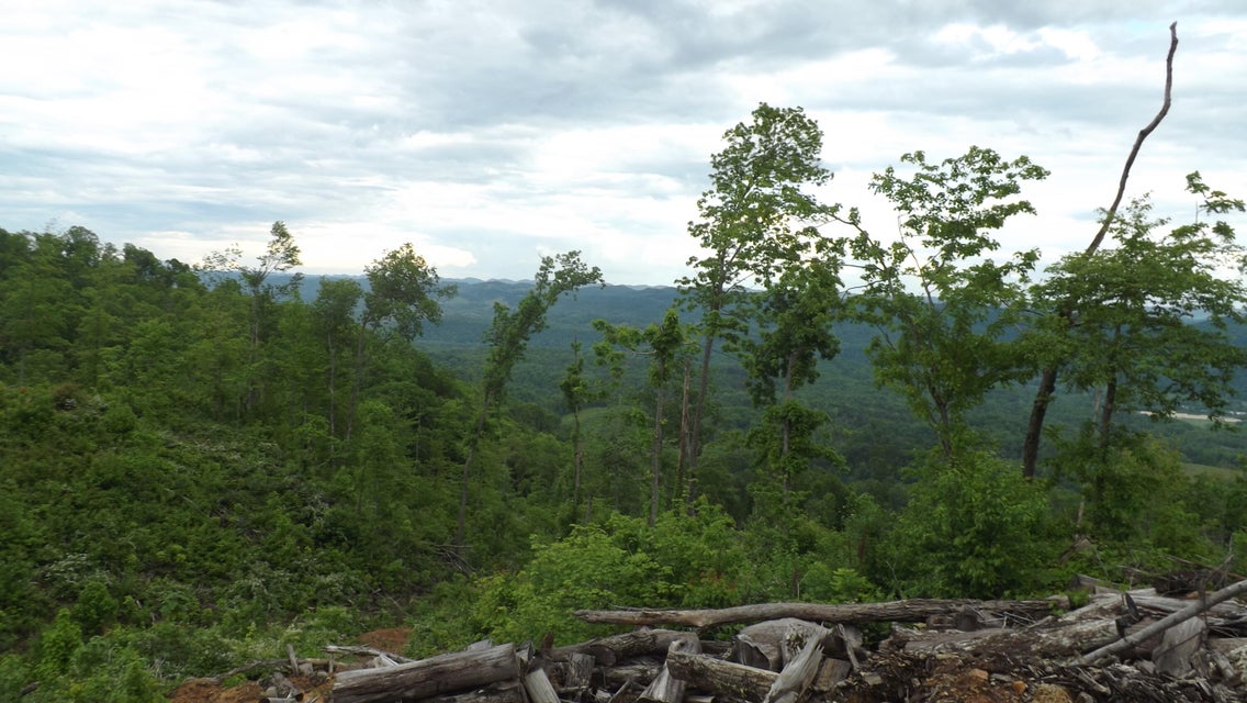 Photo #8: 0 Osborne Ridge Road 