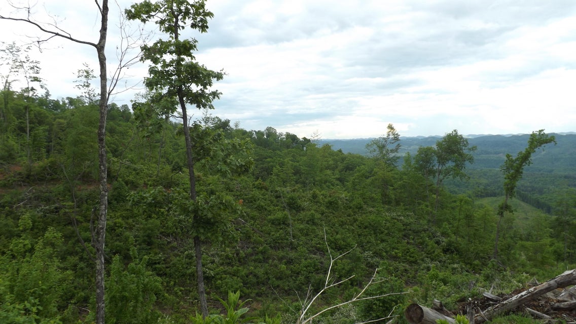 Photo #11: 0 Osborne Ridge Road 