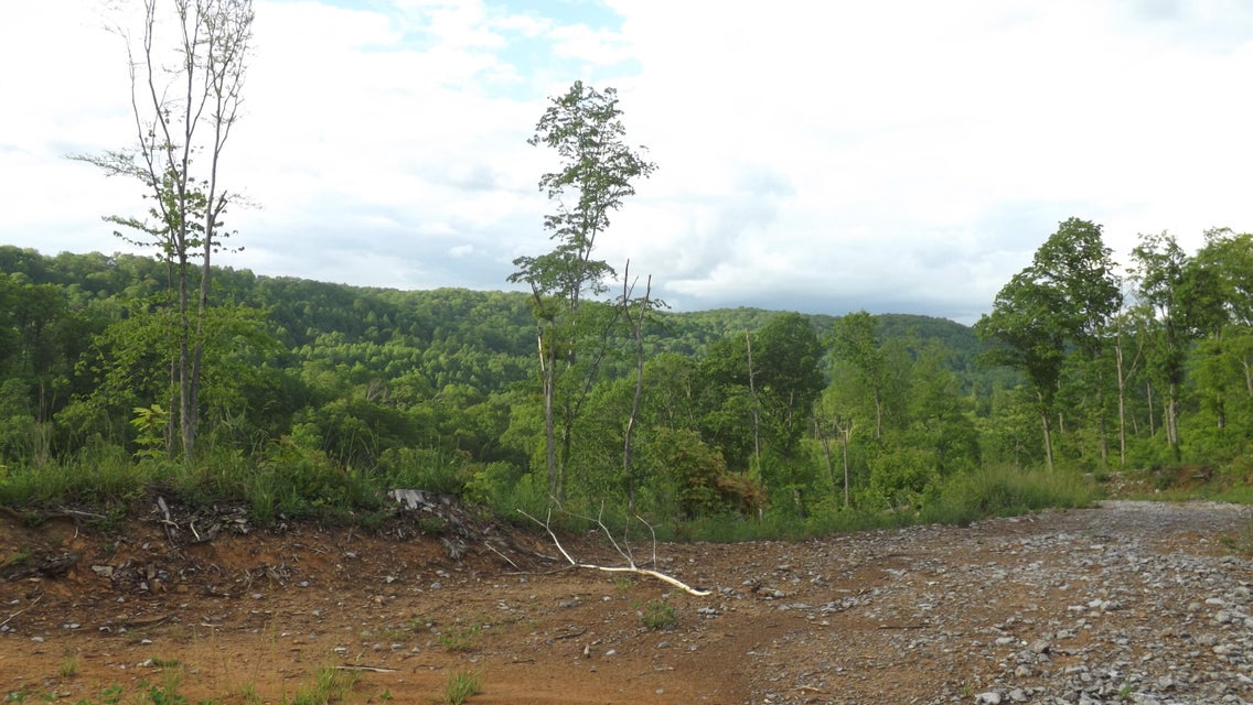 Photo #16: 0 Osborne Ridge Road 