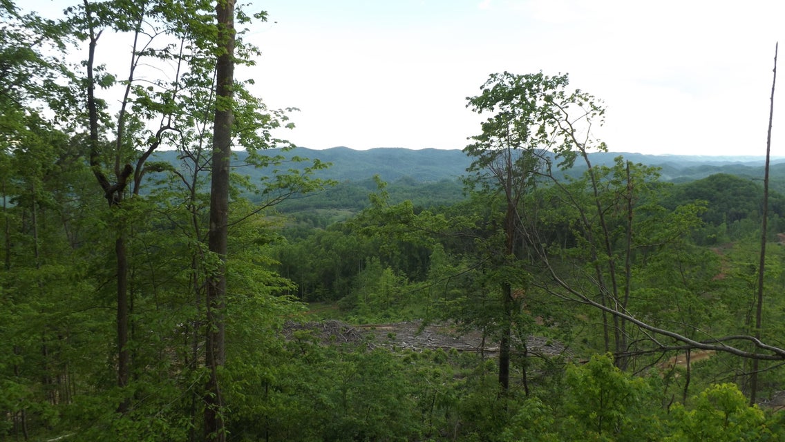 Photo #21: 0 Osborne Ridge Road 