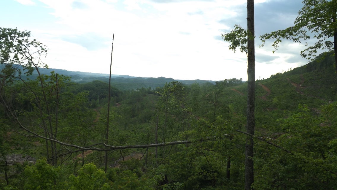 Photo #22: 0 Osborne Ridge Road 