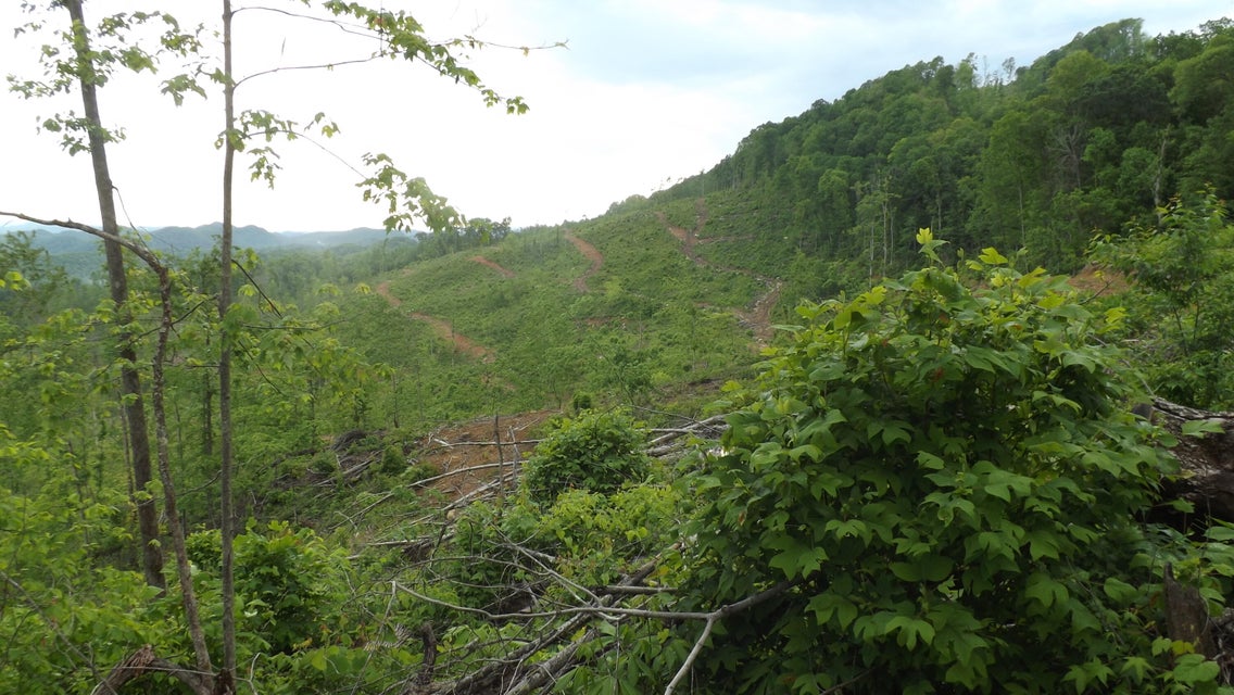 Photo #23: 0 Osborne Ridge Road 