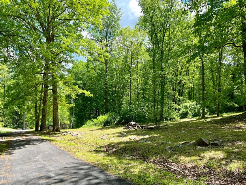 Photo #17: 9235 Dogwood Hill