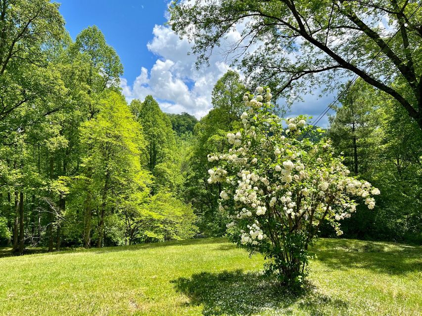 Photo #65: 9235 Dogwood Hill