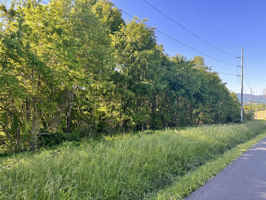 Photo #4: Tbd Paynetown Rd