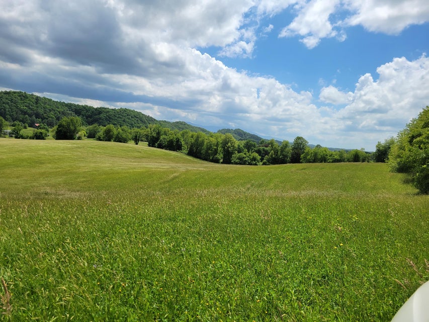 Photo #6: Tbd Cleveland Road
