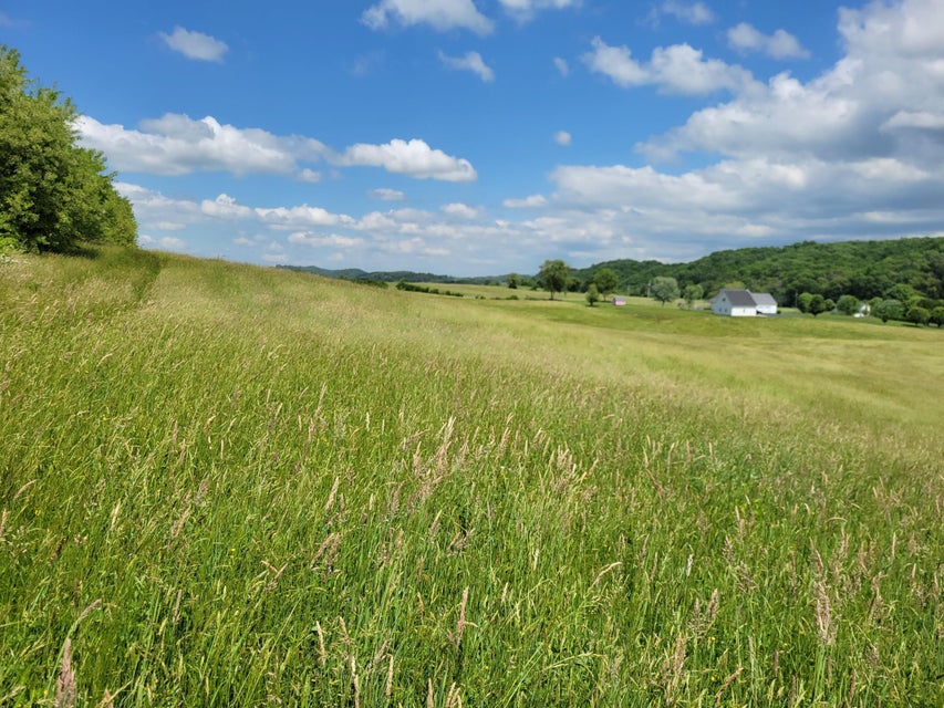 Photo #7: Tbd Cleveland Road