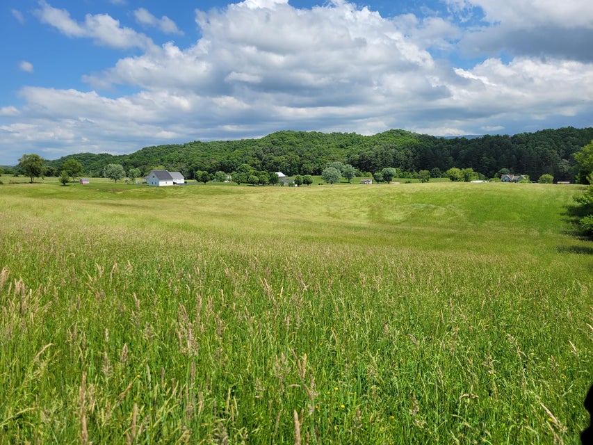 Photo #8: Tbd Cleveland Road