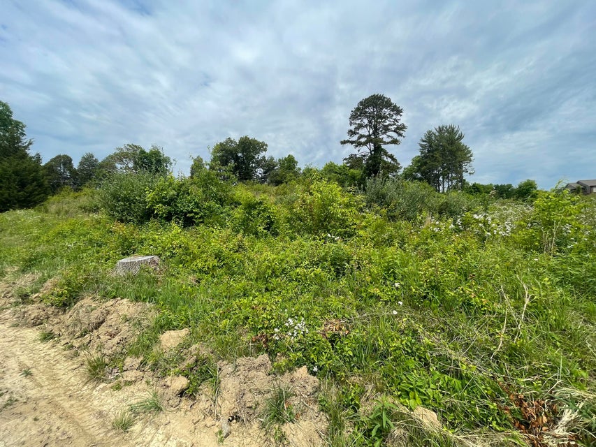Photo #3: Tbd Diana Road