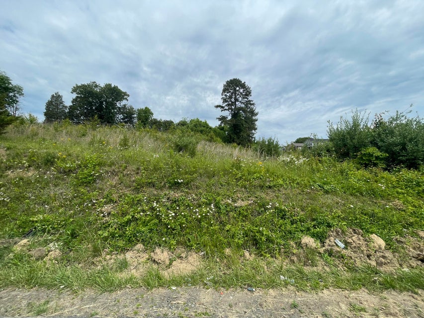 Photo #2: Tbd Diana Road