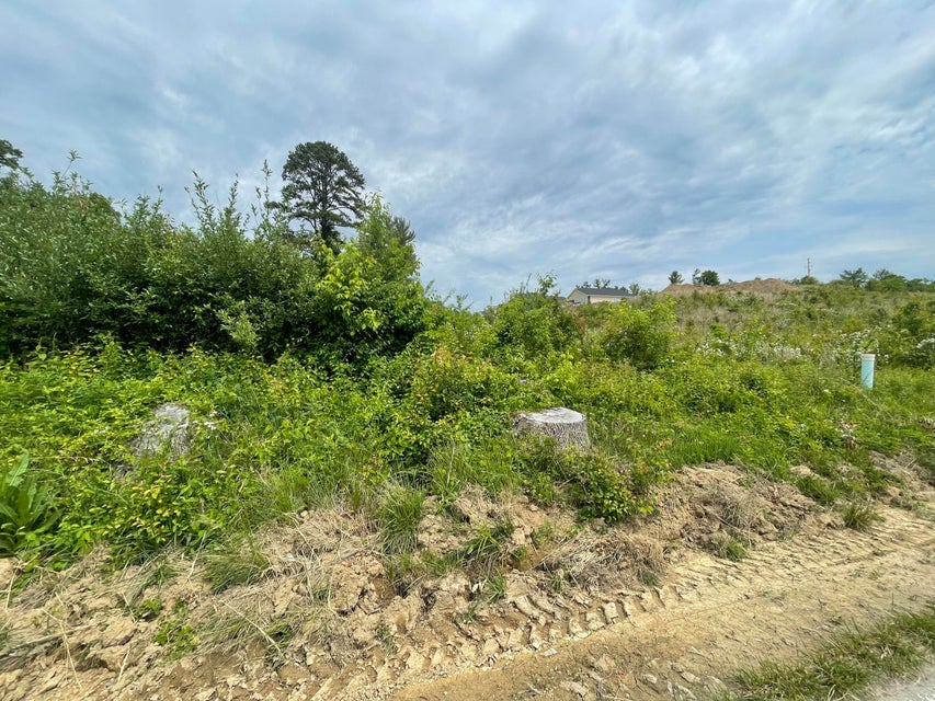 Photo #3: Tbd Diana Road
